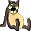 joni