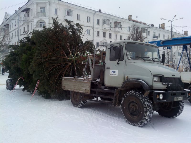Криминал последние новости барнаул