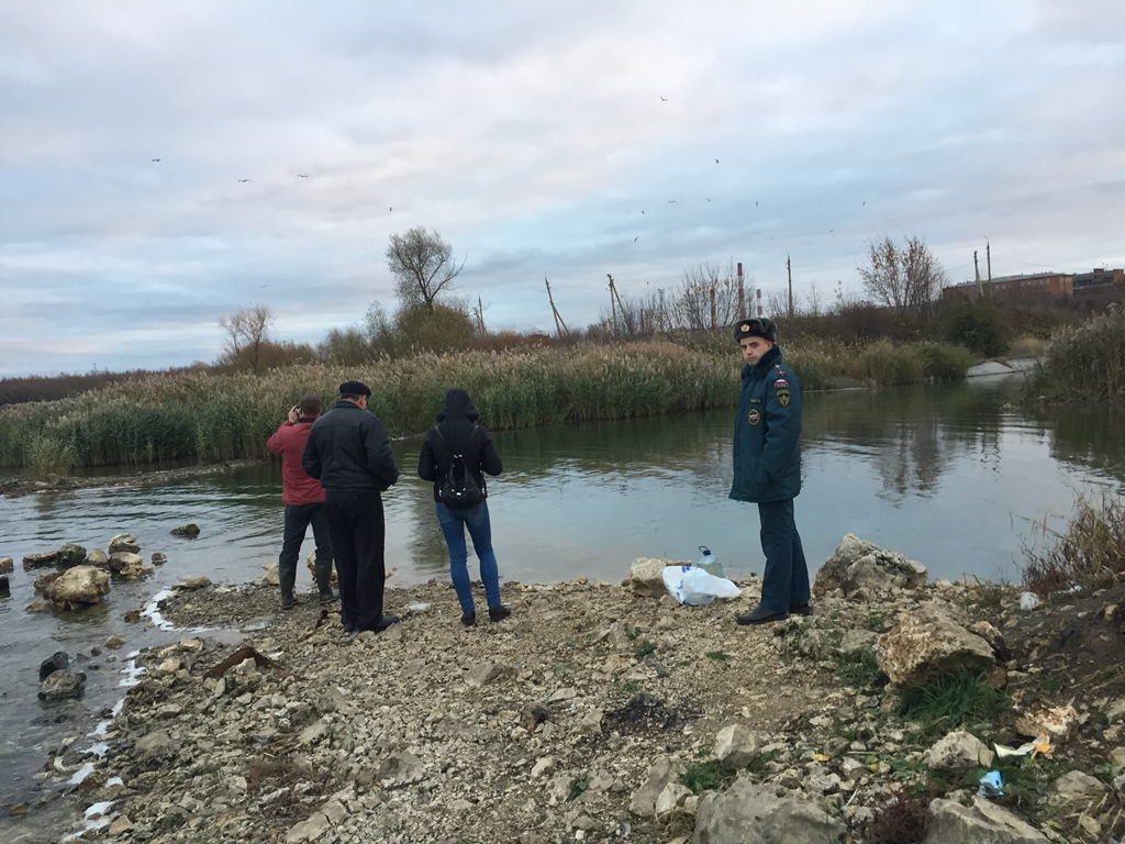 Шатское водохранилище тульской области фото