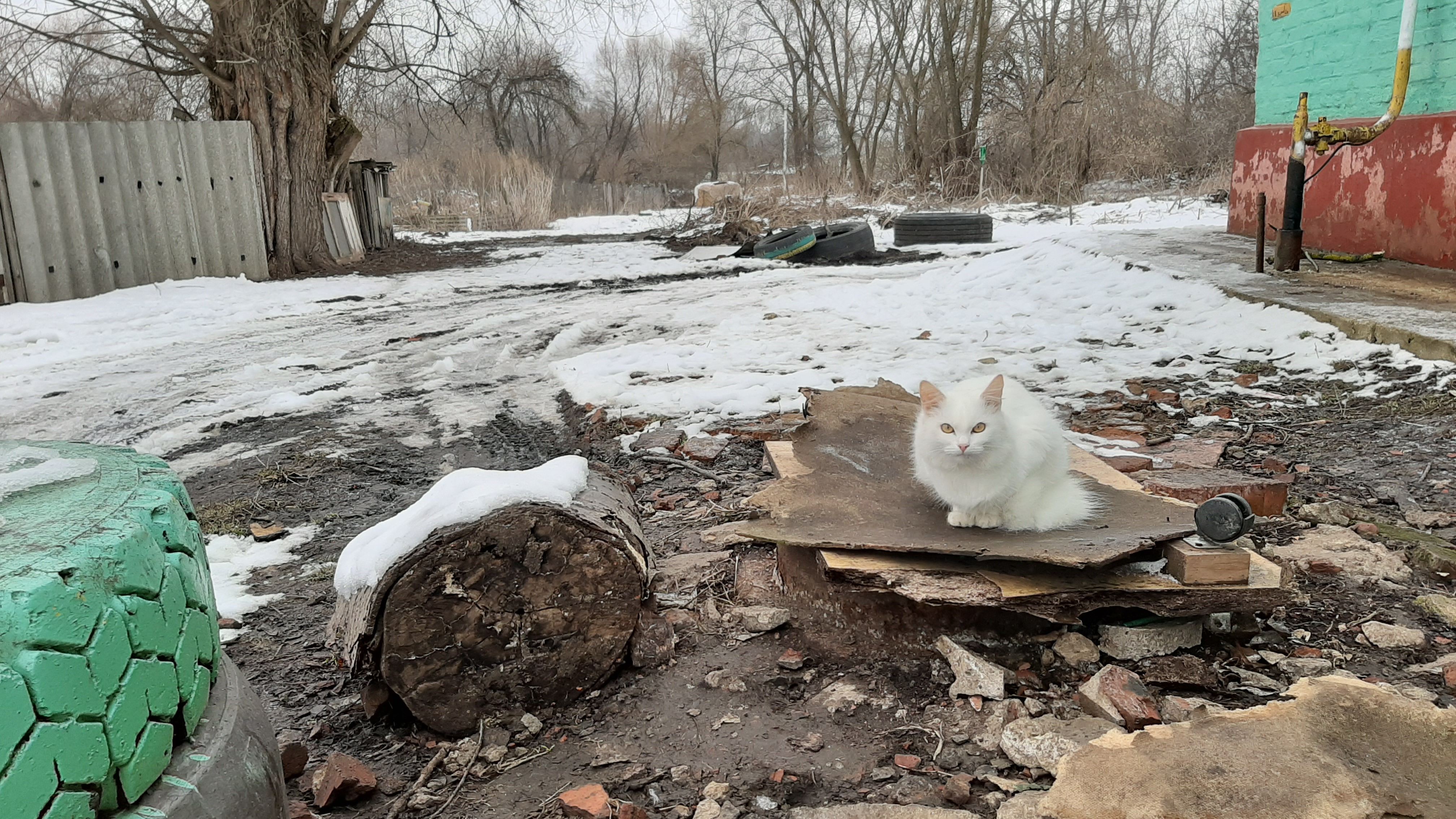 Молочные дворы тульская область погода